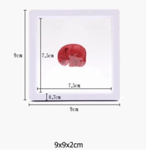 Floating Frame And Circular Base 3D Display Jewelry Case Box Suspension Storage PE Film Organizer