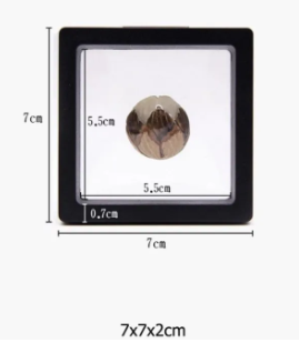 Floating Frame And Circular Base 3D Display Jewelry Case Box Suspension Storage PE Film Organizer