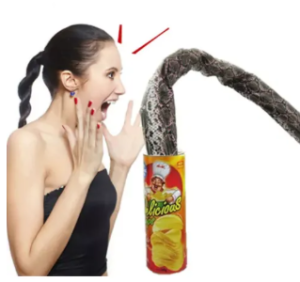 Tricky Potato Chip Snake Toy Prank 1 pc